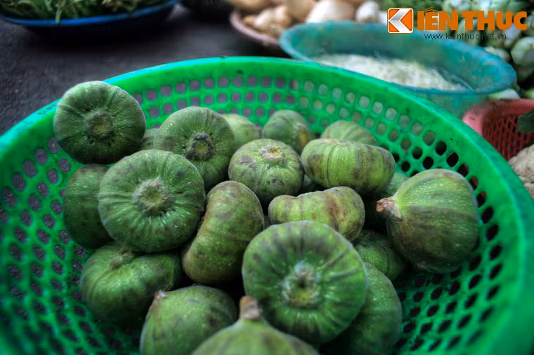 Đây là nguồn cung cấp nguyên liệu ẩm thực phong phú cho món ăn thường nhật của các gia đình cũng như sơn hào hải vị cho các nhà hàng, khách sạn quốc tế ở Huế.