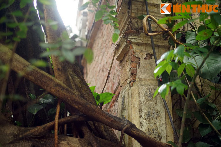 Đầu những năm 2000, sau hơn 200 năm tồn tại, đình Đông Thành xuống cấp nghiêm trọng. Phần lớn diện tích đình được sử dụng làm trụ sở một cơ quan và nơi sinh sống của 12 hộ dân.