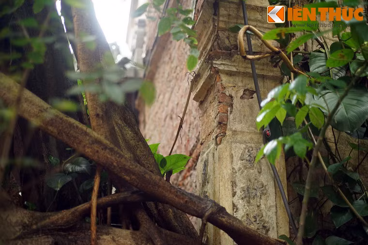 Đầu những năm 2000, sau hơn 200 năm tồn tại, đình Đông Thành xuống cấp nghiêm trọng. Phần lớn diện tích đình được sử dụng làm trụ sở một cơ quan và nơi sinh sống của 12 hộ dân.