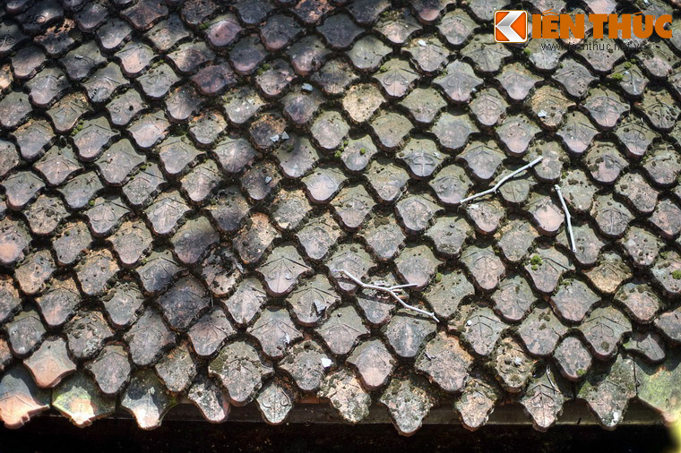 Mái nhà lợp ngói vẩy cá.