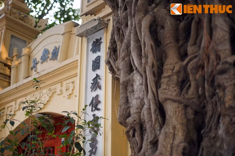 Theo tích xưa, đình Cổ Vũ được xây dựng từ thời Lý. Khi đó, nhà vua đã cho trồng hai cây đa lớn trước cửa đình. Cây đa ngày nay rất có thể là hậu duệ của cây đa 1.000 năm trước.