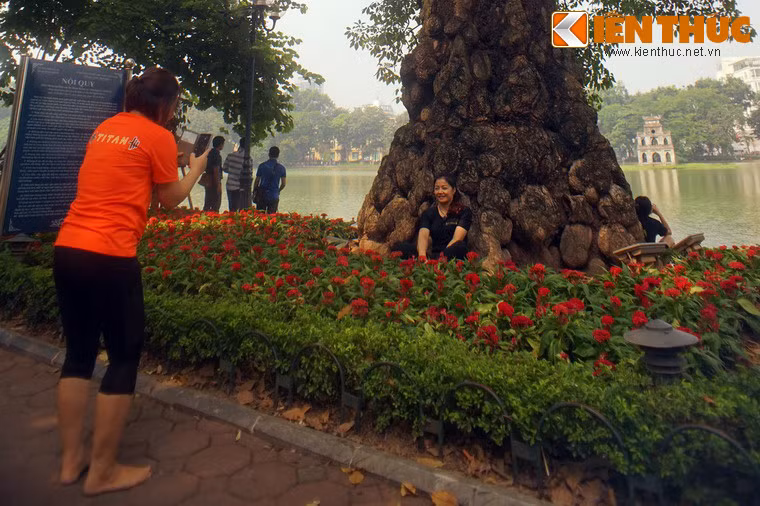 Nhiều du khách thích thú chụp hình lưu niệm dưới gốc cây gạo bờ hồ.