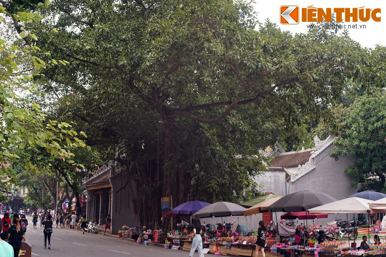 Nằm ở đường Đinh Tiên Hoàng, đối diện đền Ngọc Sơn ở khu vực bờ hồ Gươm, đền Bà Kiệu là một ngôi đền cổ có giá trị đặc biệt về lịch sử và tín ngưỡng của Hà Nội. Hình ảnh của ngôi đền này luôn gắn với một cây đa cổ thụ có tuổi đời cao nhất nhì thủ đô.