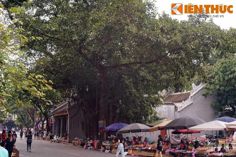 Nằm ở đường Đinh Tiên Hoàng, đối diện đền Ngọc Sơn ở khu vực bờ hồ Gươm, đền Bà Kiệu là một ngôi đền cổ có giá trị đặc biệt về lịch sử và tín ngưỡng của Hà Nội. Hình ảnh của ngôi đền này luôn gắn với một cây đa cổ thụ có tuổi đời cao nhất nhì thủ đô.