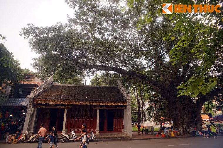 Theo các sử liệu, cây đa đền Bà Kiệu có từ thế kỷ 17, cùng thời gian với sự hình thành của ngôi đền cổ.