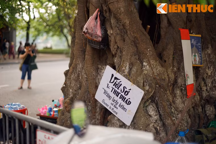 Trải qua năm tháng, cây đa đền Bà Kiệu vừa là nơi trú mưa nắng, vừa là chốn mưu sinh của biết bao người.