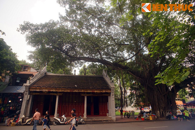 Theo các sử liệu, cây đa đền Bà Kiệu có từ thế kỷ 17, cùng thời gian với sự hình thành của ngôi đền cổ.