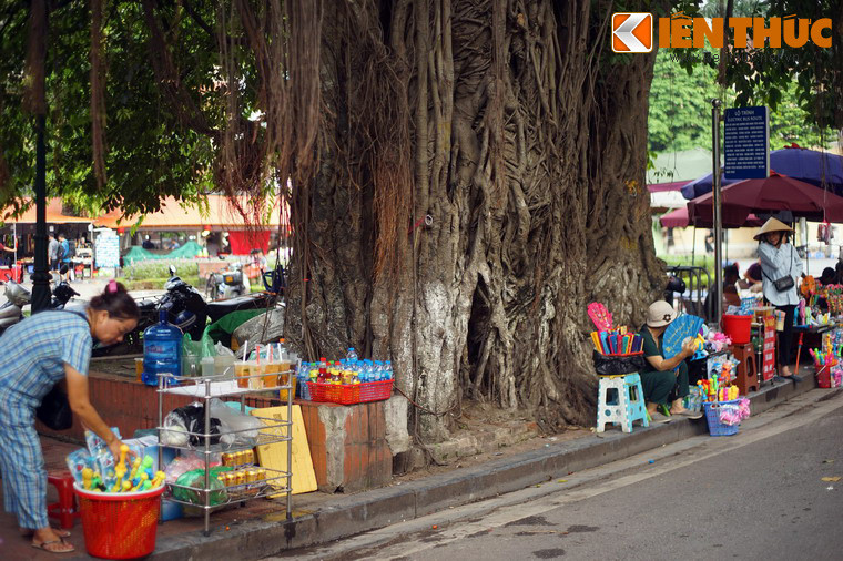 Theo lời kể được truyền lại, ở vị trí của cây đa này từng là một cây gạo lớn. Các quan thời xưa đi lễ đền thường buộc ngựa vào gốc cây gạo.