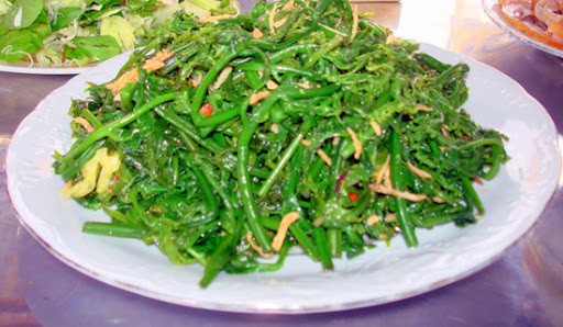 Rau dớn còn được mệnh danh là " vua của các loại rau dại", phân bố nhiều ở vùng núi. Loại rau dân dã này rất giàu protein và vitamin C, đây là những chất tốt cho cơ thể con người.