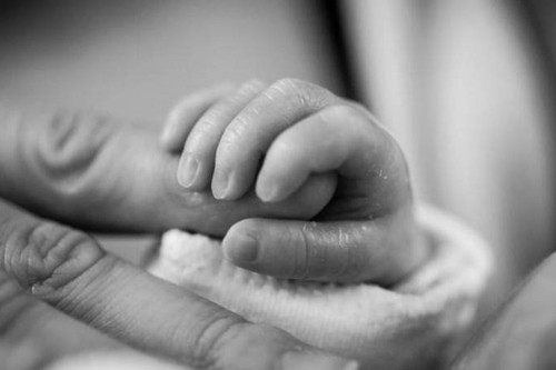 Ghen ti voi em be moi sinh, chi gai 5 tuoi lam dieu ghe ron