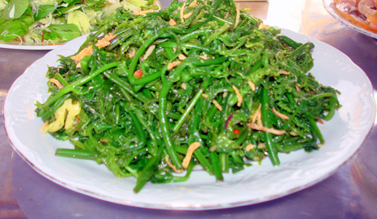 Nếu thường xuyên ăn nộm rau dớn sẽ dễ gây hoại tử tế bào gan, ung thư gan. Vì vậy, bạn nên ăn ít loại rau này. Trước khi ăn thì hãy nhớ ngâm rau trong nước kiềm để loại bỏ vị chát, giảm hàm lượng proto-pteridium glycoside, giảm độc hại cho cơ thể.