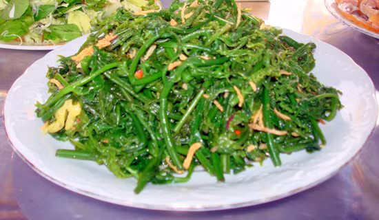 Nếu thường xuyên ăn nộm rau dớn sẽ dễ gây hoại tử tế bào gan, ung thư gan. Vì vậy, bạn nên ăn ít loại rau này. Trước khi ăn thì hãy nhớ ngâm rau trong nước kiềm để loại bỏ vị chát, giảm hàm lượng proto-pteridium glycoside, giảm độc hại cho cơ thể.