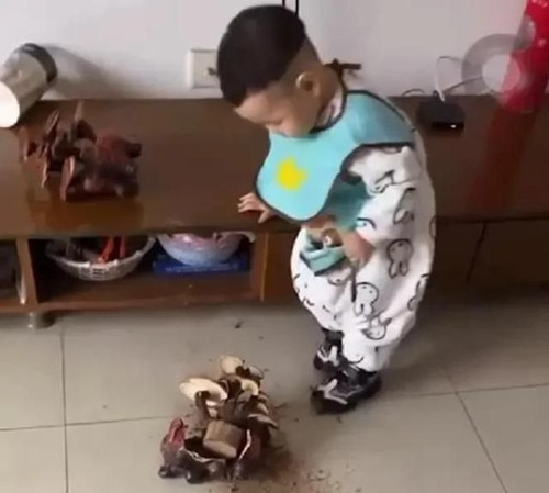 Mua nam linh chi ve trong 2 nam moi phat hien su that soc-Hinh-2