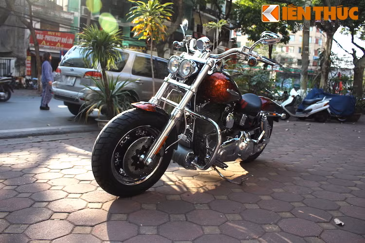Phiên bản Harley-Davidson Dyna Fat Bob CVO của năm 2009 có tên mã là FXDFSE. Bên cạnh Fat Bob, 3 dòng xe còn lại có bản CVO trong năm 2009 là Softail Springer, Road Glide và Ultra Classic Electra Glide.