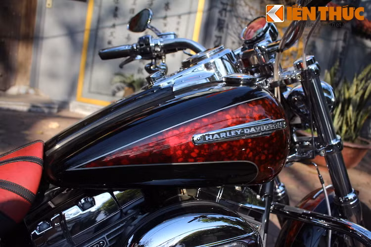 Trên Fat Bob CVO 2009, Harley-Davidson đã đem tới 3 tùy chọn màu sơn với hoa văn cực độc đáo cho chiếc xe. Trong đó, màu sơn đen Black Diamond kết hợp với đỏ đun ánh kim Fire Quartz là nổi bật nhất.