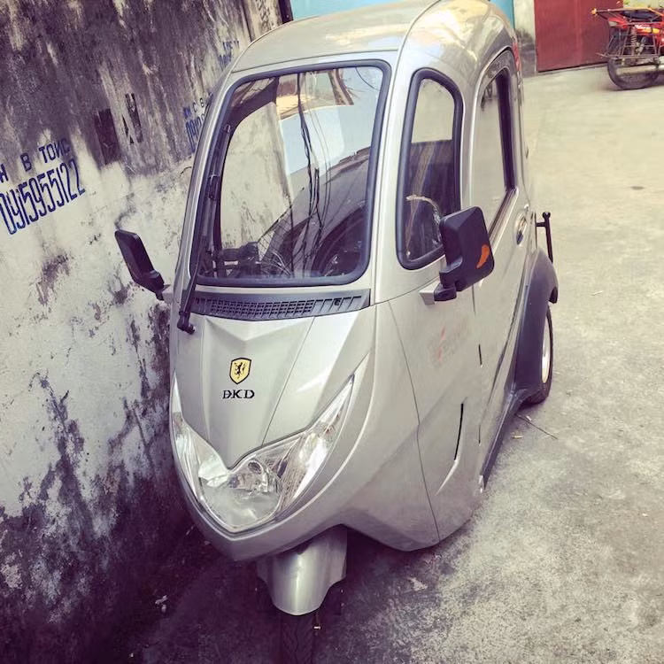 Những mẫu xe này có thiết kế khác nhau và đều không rõ nguồn gốc nhà sản xuất tại Trung Quốc, nhưng đều có "phom" chung là một cabin với cửa ở hai bên, hai bánh sau và một bánh trước.