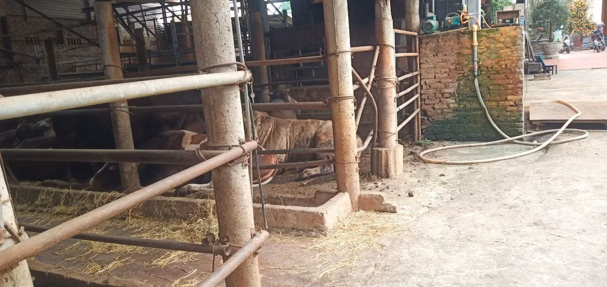 Ha Noi: Nhuc nhoi nhieu lo mo khong phep o xa Hai Boi-Hinh-4