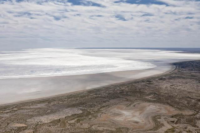 Khi đầy nước, hồ Eyre cũng giống như bao hồ khác, rất phong phú các loài động vật hoang dã tìm tới để kiếm mồi và sinh sản.