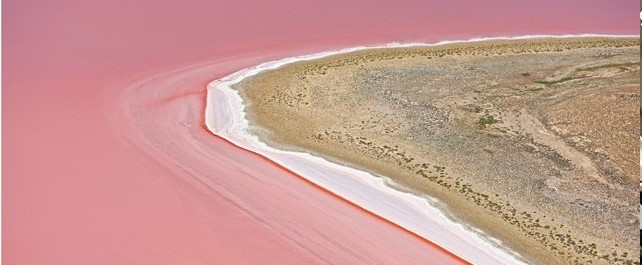 Trước hiện tượng kỳ lạ này, các nhà khoa học đã tìm hiểu và phát hiện ra điều thú vị, đó là cứ khoảng 3 năm nước trong hồ sẽ biến mất một lần. Ảnh: ABC.