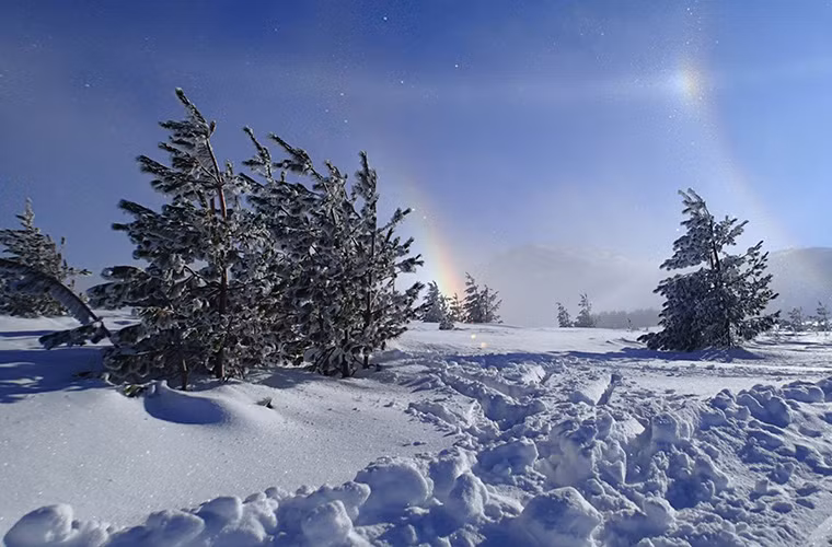 Giải nhì hạng mục "Kỳ nghỉ hoang dã", được chụp bởi em Mihail Nikolaev Kamenov 12 tuổi người Bulgaria.