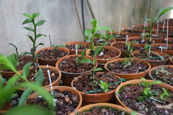 Nhom doi tuong lua dao ban lan dot bien tien ty bi bat