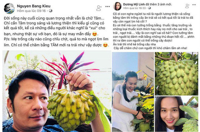 Hai dòng trạng thái xuất hiện trong cùng thời điểm khiến độc giả suy đoán Dương Mỹ Linh đang "xéo xắt" tình cũ và mẹ của tình cũ.