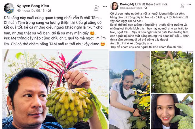 Hai dòng trạng thái xuất hiện trong cùng thời điểm khiến độc giả suy đoán Dương Mỹ Linh đang "xéo xắt" tình cũ và mẹ của tình cũ.