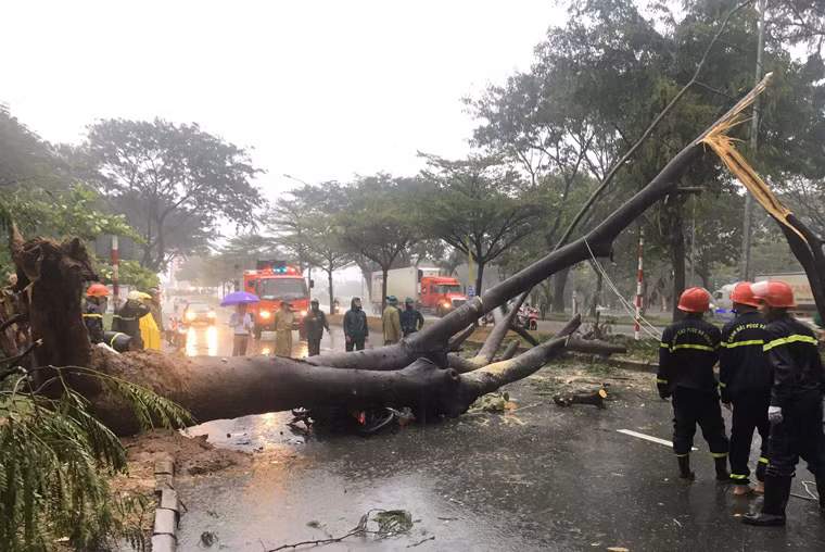 Da co nguoi chet trong con bao so 9 o TP.HCM-Hinh-2