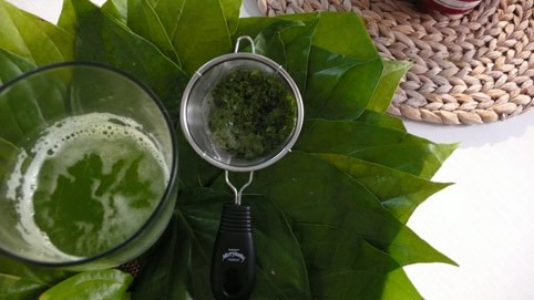 1. Làm thuốc giảm đau. Tác dụng của lá trầu không giúp giảm đau hiệu nghiệm, làm dịu các cơn đau nhanh chóng. Bạn có thể dùng loại lá này để giảm đau trong các trường hợp bị trầy, rách hay xước da, phát ban hay sưng viêm (cả bên trong lẫn bên ngoài), khó tiêu, táo bón… Chỉ cần lấy một vài lá trầu không giã nát rồi đắp lên chỗ đang bị đau. Ngoài ra, bạn cũng có thể nhai nát lá trầu không, nhấp lấy phần nước tiết ra rồi nhả bả để làm dịu những cơn đau có nguồn gốc từ bên trong cơ thể.