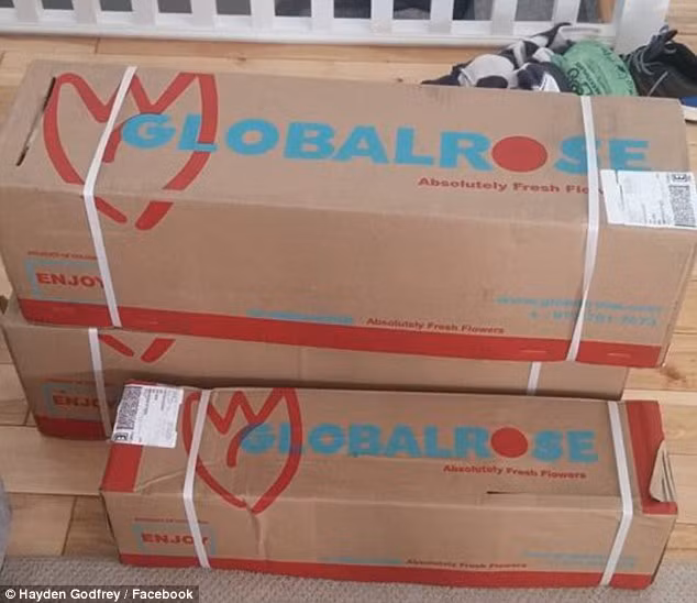 Do từng chứng kiến rất nhiều cô bạn gái, nữ sinh chịu cảnh tủi thân, buồn bã khi “tay trắng” trong ngày lễ tình nhân, Hayden Godfrey đã dựng lên ý tưởng tặng thật nhiều hoa cho tất cả các nữ sinh cùng trường.