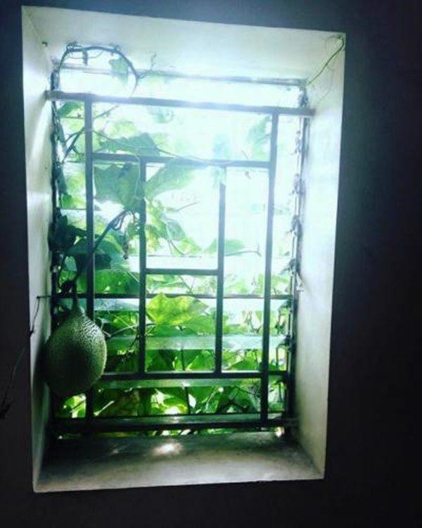 Thế này khác gì mời anh xơi.