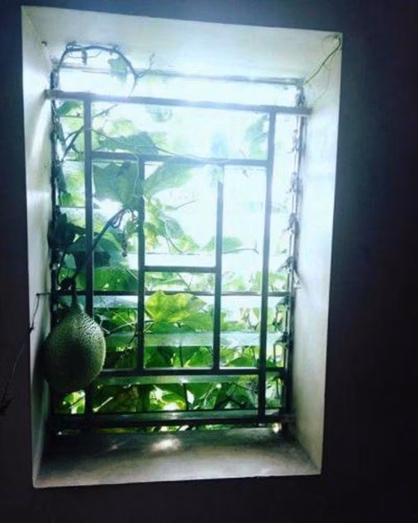 Thế này khác gì mời anh xơi.