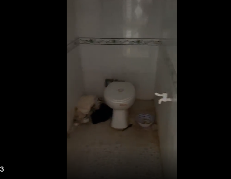 Khu vực nhà vệ sinh cũng bẩn không kém, đến nỗi khi quay đến nơi này chủ nhà trọ cũng phải thốt lên: "Kinh dị chưa".