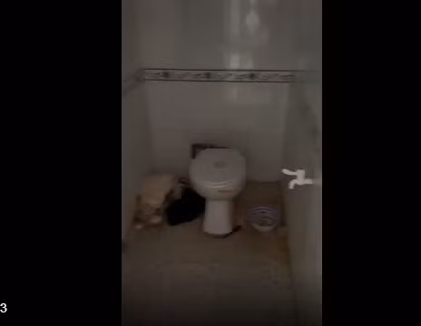 Khu vực nhà vệ sinh cũng bẩn không kém, đến nỗi khi quay đến nơi này chủ nhà trọ cũng phải thốt lên: "Kinh dị chưa".