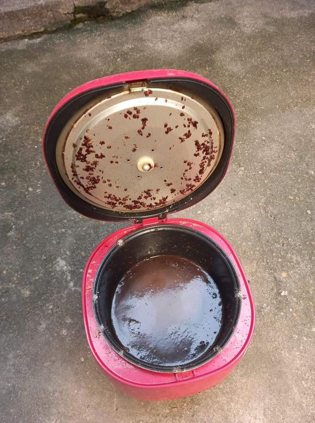 Dù đã dọn dẹp phòng kỹ càng nhưng do háo hức về quê và giãn cách xã hội nên nhiều người đã quên cọ rửa nồi cơm điện. Đến lúc quay lại thành phố học tập, làm việc mở nồi cơm điện ra mới tá hỏa khi thấy nấm mốc đã mọc um tùm trong nồi.