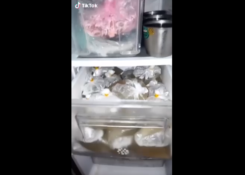 Mới đây, một đoạn clip TikTok ghi lại hình ảnh chiếc tủ lạnh để sẵn thực phẩm mà mẹ chế biến, dành cho con gái hay ăn đêm làm người xem thấy thích thú.
