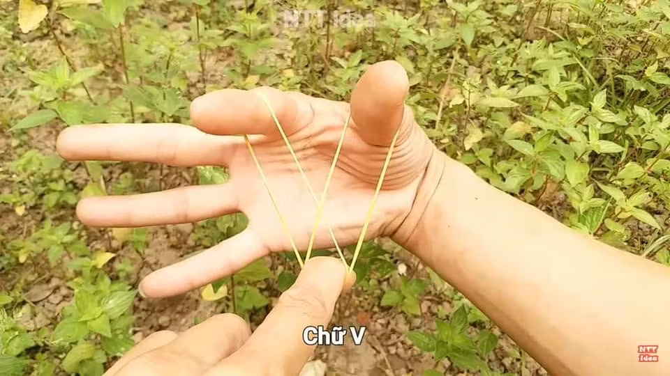 Tạo hình dây thun có thể được chơi một mình hoặc chơi với bạn bè.