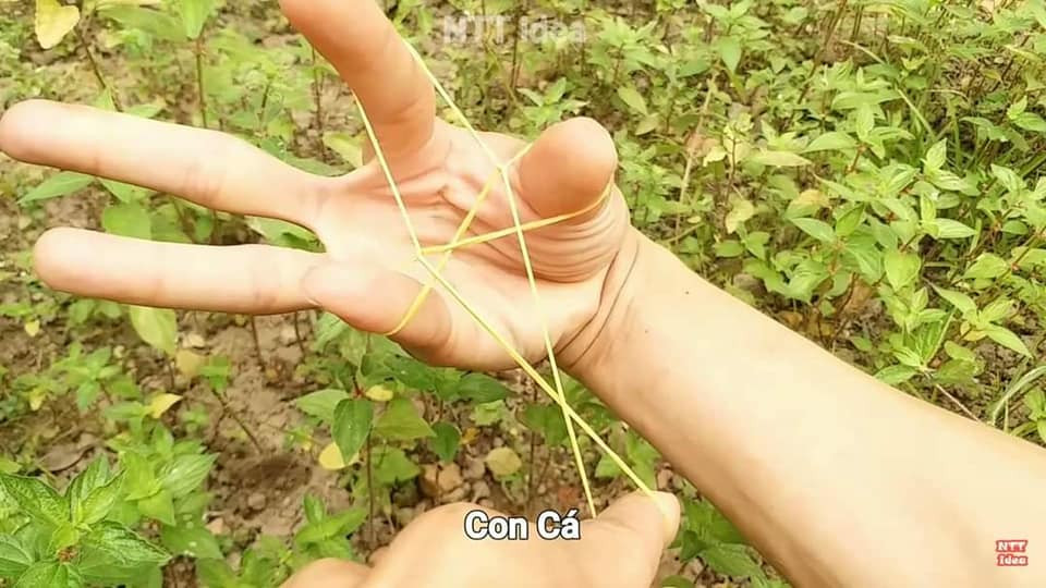 Trò chơi Ayatori là một trò chơi rất thú vị, người chơi sẽ sử dụng một sợi dây thun được buộc thành hình tròn, sau đó dùng những ngón tay của mình đan xen các sợi dây để tạo ra nhiều hình dạng khác nhau từ đơn giản đến phức tạp.