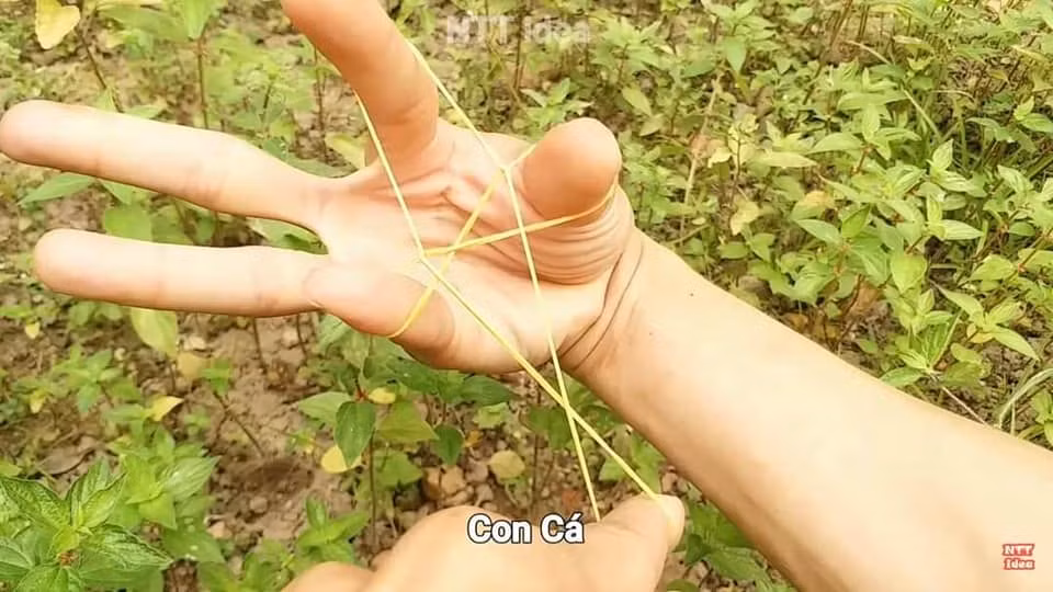 Trò chơi Ayatori là một trò chơi rất thú vị, người chơi sẽ sử dụng một sợi dây thun được buộc thành hình tròn, sau đó dùng những ngón tay của mình đan xen các sợi dây để tạo ra nhiều hình dạng khác nhau từ đơn giản đến phức tạp.