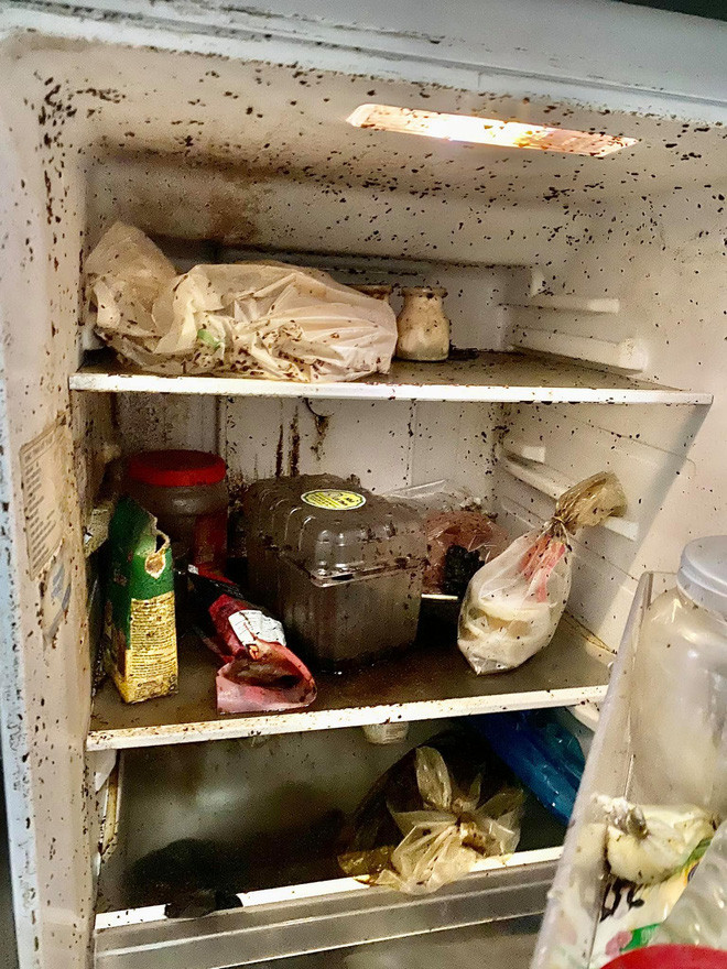 Chiếc tủ lạnh mốc meo, đồ ăn thối rữa, vừa chảy nước đen vừa bọ bay cả đàn khi mở ra trong clip trên chính xác là nỗi ám ảnh lớn nhất của mọi người khi về quê quá lâu, không riêng gì trường hợp của công ty cô gái trên.