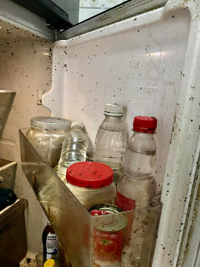 Vì thấy tủ lạnh vẫn chạy, đèn sáng nên cô nàng đã không nghĩ tới cảnh tượng kinh hoàng này. Các loại đồ ăn hỏng toàn độ, thứ nước màu đen đọng dưới đáy tủ.
