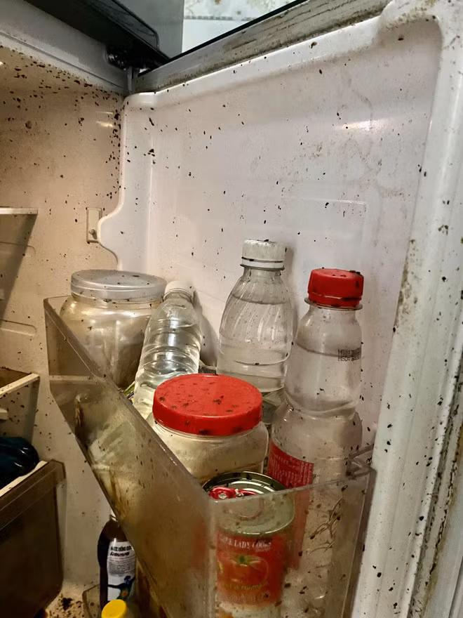 Vì thấy tủ lạnh vẫn chạy, đèn sáng nên cô nàng đã không nghĩ tới cảnh tượng kinh hoàng này. Các loại đồ ăn hỏng toàn độ, thứ nước màu đen đọng dưới đáy tủ.