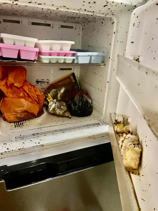 Nhiều netizen cho rằng dù tủ lạnh vẫn cắm điện nhưng trong 4 tháng, không thể tránh khỏi việc đồ ăn hư hỏng, các sinh vật lạ xuất hiện từ đó.