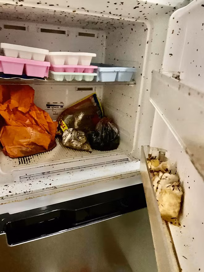 Nhiều netizen cho rằng dù tủ lạnh vẫn cắm điện nhưng trong 4 tháng, không thể tránh khỏi việc đồ ăn hư hỏng, các sinh vật lạ xuất hiện từ đó.