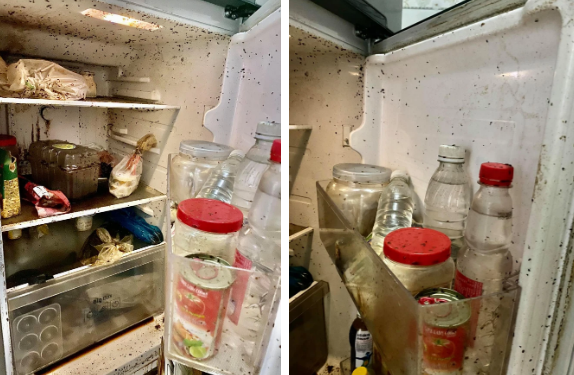 Phần nữa, trong khoảng thời gian không có ai ở văn phòng, một số vấn đề như cúp điện, tủ lạnh hỏng… đều có thể xảy ra, dẫn đến nỗi ám ảnh như trên bức ảnh này.