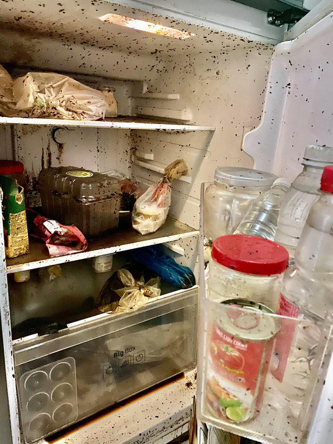 Sau nhiều tháng nghỉ dịch, mới đây một cô nhân viên văn phòng đã có màn mở tủ lạnh khiến netizen nhìn mà chỉ biết khóc thét. Sau cánh cửa tủ là cảnh tượng quá kinh khủng không ai ngờ tới.