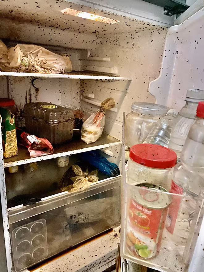 Sau nhiều tháng nghỉ dịch, mới đây một cô nhân viên văn phòng đã có màn mở tủ lạnh khiến netizen nhìn mà chỉ biết khóc thét. Sau cánh cửa tủ là cảnh tượng quá kinh khủng không ai ngờ tới.