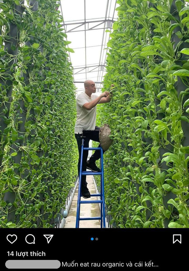 Cụ thể, trên trang Instagram cá nhân, thiếu gia Nguyễn Hoàng Việt đã chia sẻ dòng trạng thái kiểu "nửa Tây nửa ta" như cách nói chuyện của bạn gái tin đồn: "Muốn eat rau organic và cái kết..." (Tạm dịch: Muốn ăn rau hữu cơ và cái kết...).