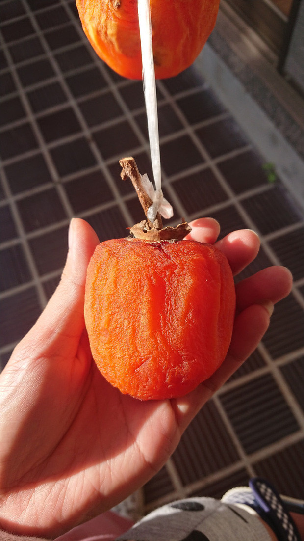 Quả hồng trước khi mang ra treo cần phải rửa sạch, gọt vỏ rồi tiệt trùng bằng nước nóng hoặc rượu, sau đó mới treo ngoài nắng trong vài ngày đầu tiên. Ảnh: Facebook