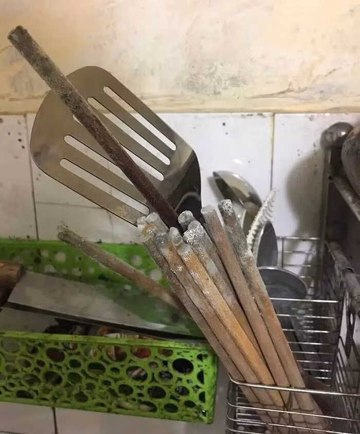 Bó đũa mốc meo hết thế này thì sao dùng được nữa.